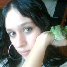 laidiz